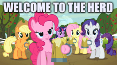 My Little Pony - Ponies - Welcome to the Herd.png