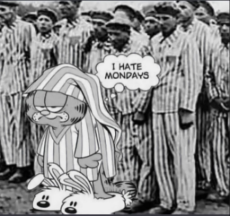 MEOWSCHWITZ.jpg
