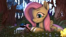 3661000__safe_artist-colon-montaraz13_derpibooru+import_angel+bunny_fluttershy_bird_butterfly_insect_owl_pegasus_pony_g4_3d_animal_animated_calm_crysta.webm