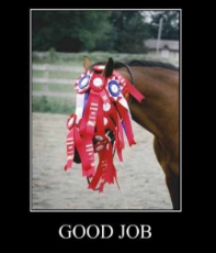 good job horse.jpg