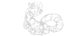 Oekaki.png