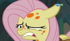 1538723__safe_screencap_fluttershy_a health of information_spoiler-colon-s07e20_carousel (tv channel)_cropped_pony_swamp fever.png