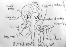 7149037__safe_artist-colon-tjpones_imported+from+derpibooru_fluttershy_pegasus_pony_aminals_anatomy_anatomy+chart_anatomy+guide_chart_derp_female_lineart_mare_r.png