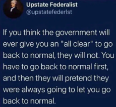 tweet-upstate-federalist-if-you-think-government-will-give-all-clear-normal.png