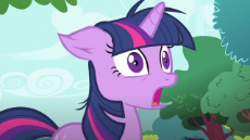 11-facts-about-twilight-sparkle-my-little-pony-friendship-is-magic-1694511381.jpg