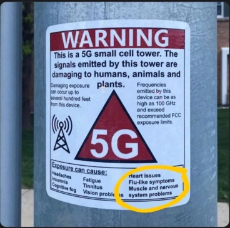 42864298462.jpg