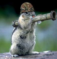 bazooka_squirrel_by_macwithfries-d5asmwl.jpg