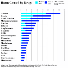 drugs and harm index.jpg