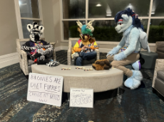 IMG_3829.jpeg