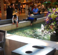 jews stealing money from a fountain.jpg