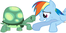 My Little Pony - Rainbow Dash - Bump - Turtle.png