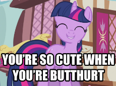 481141__safe_twilight+sparkle_solo_smiling_image+macro_caption_reaction+image_butthurt.jpg
