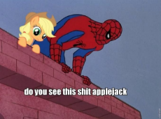 do you see this shit applejack.jpg