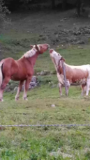 1624550566754.webm