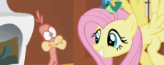 56792.gif