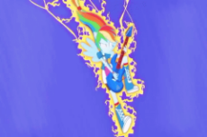 1386847__safe_screencap_rainbow+dash_equestria+girls_guitar+centered_rainbow+rocks_animated_electric+guitar_gif_glowing+eyes_guitar_ponied+up_solo.gif
