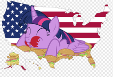 png-transparent-flag-of-the-united-states-graphy-twilight-purple-mammal-flag.png