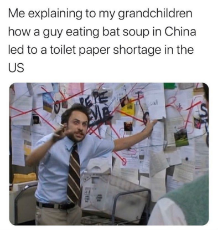 me-explaining-how-a-guy-eating-bat-soup-in-china-led-to-a-toilet-paper-shortage-in-the-us-meme.jpg