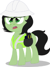 22_OAT_Update_July_2019_MLPOL_22_construction_filly.png