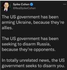 tweet-government-aming-ukraine-allies-russia-opponents-disarm-you.jpg