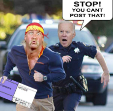 hogan_biden_you_can't_post_that.jpg