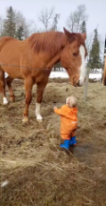 Little boy shares special bond with his horse.mp4