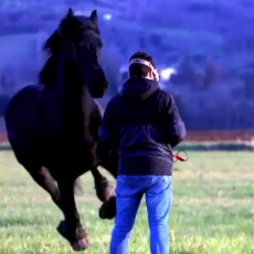 1761545109366351.webm