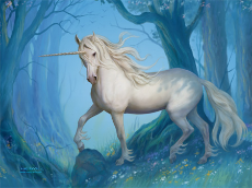 Unicorn-3.jpg