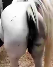 cc1f09c35f70017a00f1a2f74b61406f650a421631a0536207a509d230577e21.mp4
