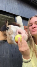 Human and Horse Sharing a Snack.mp4