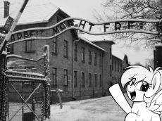 you_have_to_go_back Luftkrieg Auschwitz.png