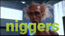 hulk_hogan_mr_nanny_niggers.gif