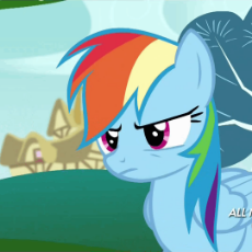 My Little Pony - Rainbow Dash - Facehoof - (02).gif