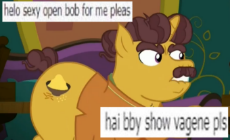 full.png