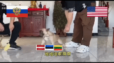 d3a4fc166a3.gif