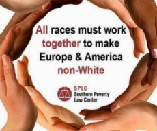 all races must work together to make europe and america non-white.jpg