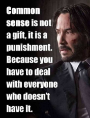 quote-common-sense-not-gift-but-punishment-deal-with-everyone-doesnt-have-it.jpg