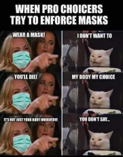 angry-lady-cat-smudge-pro-choicers-enforce-masks-my-body-my-choice.jpeg