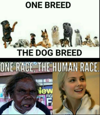 Dogs and humans.jpeg