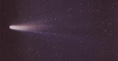 comet sighted.jpg