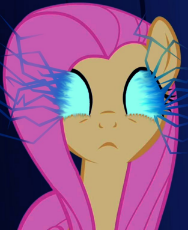 Flutter_shy_electrical_overdrive.jpg