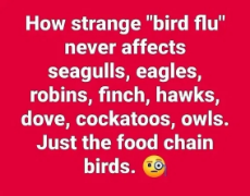 b8ba.jpg