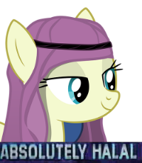Absolutely Halal.png
