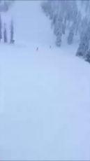 based skiing.webm