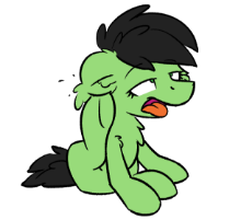 ScritchFilly.png