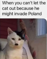 22b26c06-0d83-4a56-9392-109255b590be.jpeg