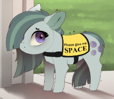2015058__safe_artist-colon-evehly_marble pie_cute_earth pony_female_looking at you_marblebetes_mare_pony_service pony_shy_solo.png