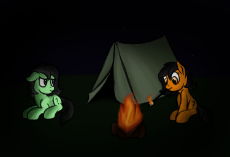 CampFilly.png