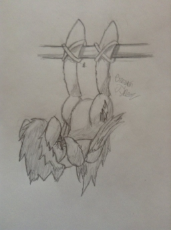 spitfire_notmine.jpeg