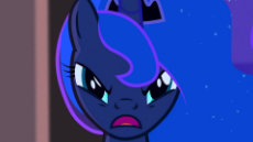 Luna is not pleased.jpg